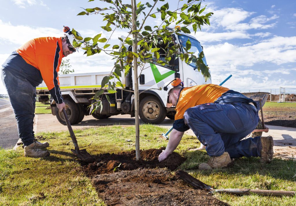Sustainable Landscaping and Infrastructure Construction