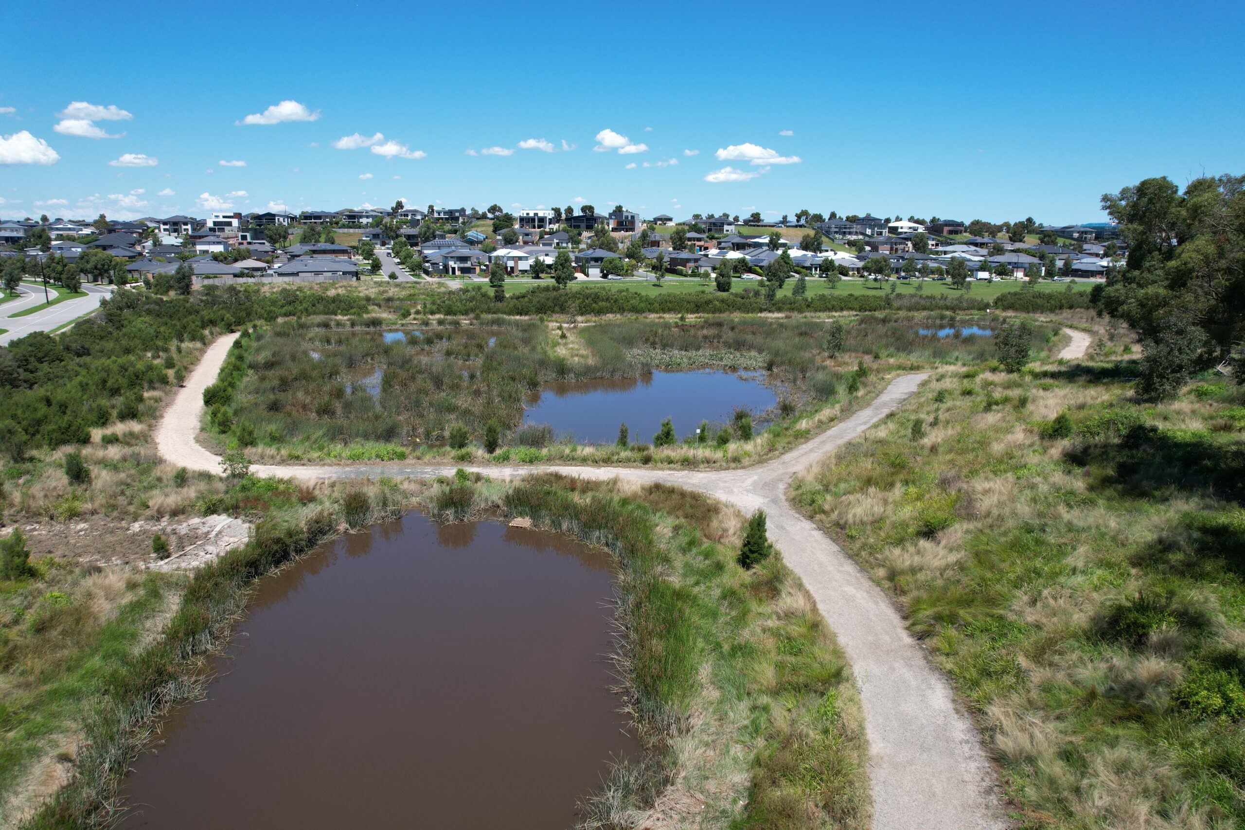 Wetlands