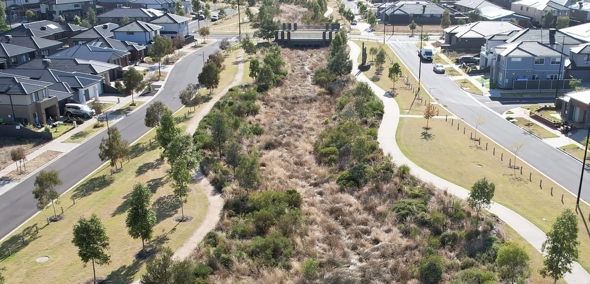 Atherstone reserve wetland